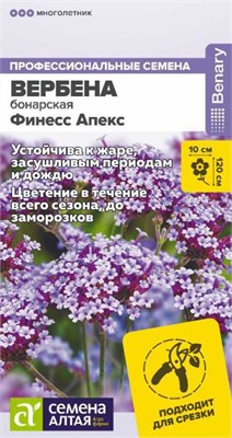 Семена Вербена Финесс Апекс 5шт Семена Алтая 124223 - фото 41355