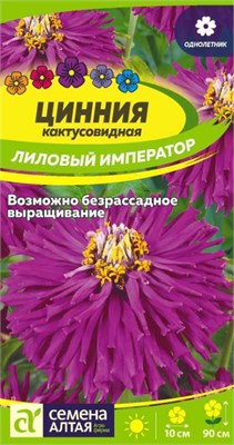 Семена Цинния кактусовидная Лиловый император 0,2гр Семена Алтая 124229 - фото 41361