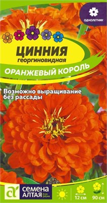 Семена Цинния георгиновидная Оранжевый король 0,2гр Семена Алтая 124233 - фото 41365