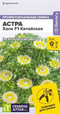 Семена Астра Халк китайская 5шт Семена Алтая 124235 - фото 41367