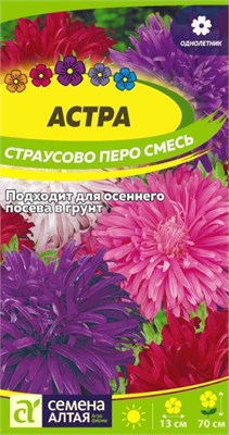 Семена Астра Страусово перо смесь 0,3гр Семена Алтая 124241 - фото 41373