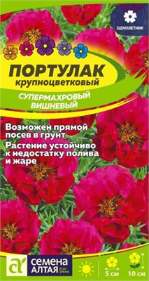 Семена Портулак супермахровый Вишневый 0,02гр Семена Алтая 124309 - фото 41439