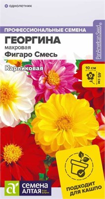 Семена Георгина Фигаро смесь 5шт Семена Алтая 124375 - фото 41505
