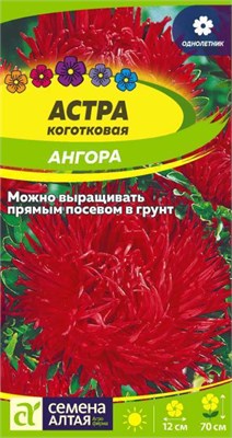 Семена Астра Ангора 0,2гр Семена Алтая 124387 - фото 41517