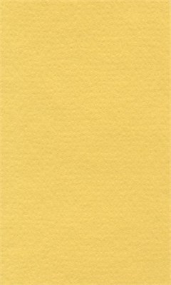 Бумага д/пастели lana colours А3 160г/м2, цвет светло-желтый, 1л  125214 - фото 42334