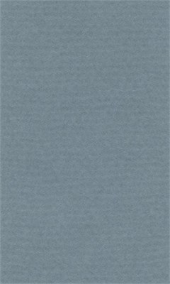 Бумага д/пастели lana colours А3 160г/м2, цвет светло-голубой, 1л  125215 - фото 42335