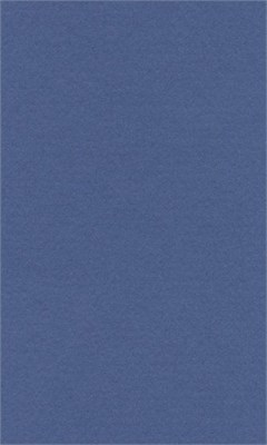 Бумага д/пастели lana colours А3 160г/м2, цвет королевский голубой, 1л  125217 - фото 42337