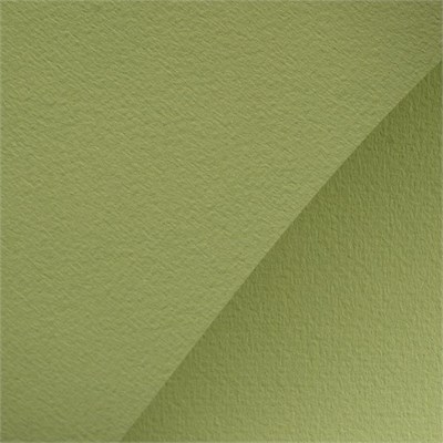 Бумага д/пастели "Мастер-Класс", 160 г/м2, А4, 40% хлопок, фисташковый,1л 125225 - фото 42345
