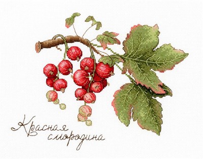 МП Студия н-р д/вышивки дары природы Красная смородина 20*15см  26971 - фото 42543