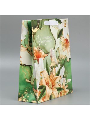 Пакет подарочный ламинированный, «Лучшему учителю», M 30*26*9см 125918