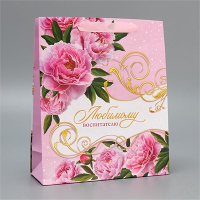 Пакет подарочный ламинированный, «Воспитателю», ML 21*25*8см 125922