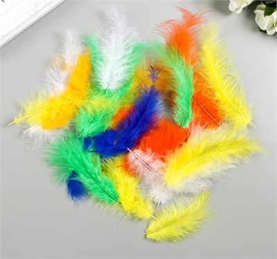 Перья декоративные страусиные, 10-12см, н-р 24шт, 6цв, ассорти 126653