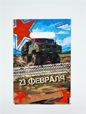 Пакет подарочный «23 февраля», полиэтиленовый с вырубной ручкой, 20*30см, 30мкм 126930
