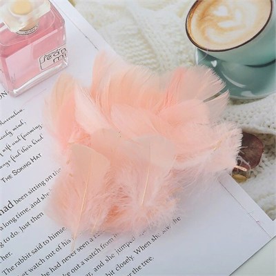 Перья д/декора 10гр, цв. розово-персиковый 107995