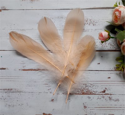 Перья д/декора 5шт 15-17см цв. персик  101137