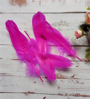 Перья д/декора 5шт 15-17см цв. яр. малиновый  101140