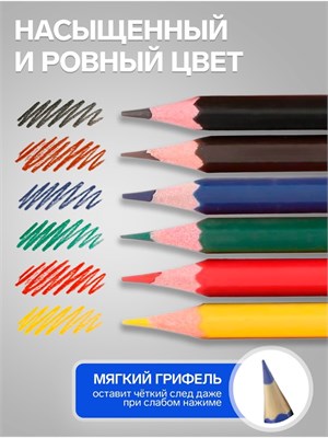 Карандаши цветные пластиковые 6цв Calligrata  31689