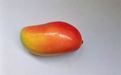 Искусственное манго в натур. величину  - фото 4806