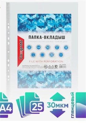 Файл-вкладыш А4, 30 мкм Calligrata, глянцевый, 25 штук 25893 - фото 6377
