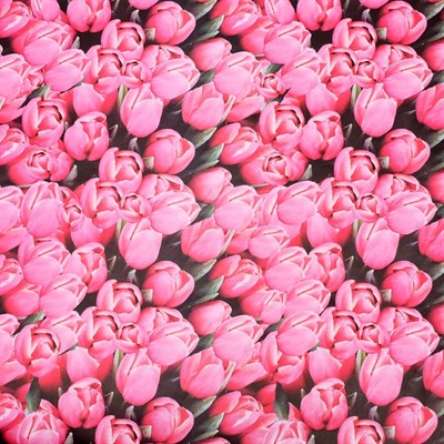 Бумага упаковочная глянцевая "Тюльпаны", 70 х 100 см - фото 9119