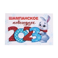 Наклейка на бутылку "Шампанское Новогоднее", 2023, 12х8 см 102378