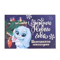 Наклейка на бутылку "Шампанское Новогоднее", уютного нового года 2023, 12х8 см 102381
