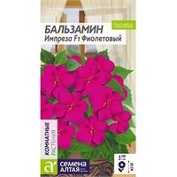 Семена Бальзамин Импреза фиолетовый 5шт 106003