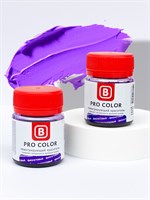 Пастообразный краситель Pro-color Фиолетовый 40мл УЦЕНКА (срок)