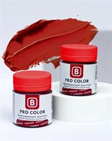 Пастообразный краситель Pro-color Бордовый 40мл УЦЕНКА (срок)