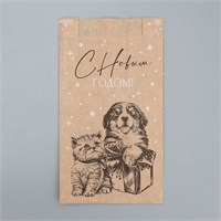 Пакет бумажный фасовочный, V-образное дно «Снежинки», 20*11см 114428