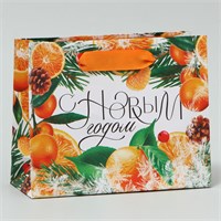 Пакет ламинированный «Новогоднее настроение», 15×12×5.5см 114522