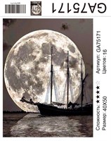 Алмазная мозаика 9D 40*50см GA75171 115037