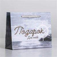Пакет ламинированный «Present for you», 15х12х5,5cм 115244