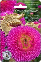 Семена Астра китайская Хризантелла Сердце дракона 30шт 117494