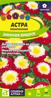 Семена Астра помпонная Зимняя вишня 0,2гр Семена Алтая 117810