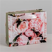 Пакет подарочный ламинированный Present, 27х23х11,5см 118871