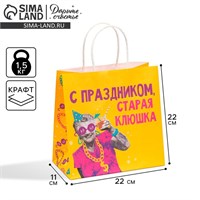 Пакет подарочный, упаковка, «Клюшка», 22*22*11см 121139