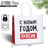 Пакет подарочный новогодний «С Новым годом, пупсик», 22*22*11см 121225