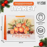 Пакет ламинированный горизонтальный "Мандаринки", XL 49*40*19 см. 121317