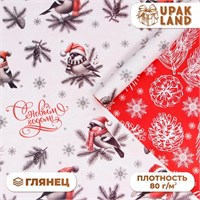 Бумага упаковочная "Снегири", глянец, двусторонняя,80 г/м2,70*100 см 121332