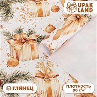 Бумага упаковочная новогодняя "Главный подарок", глянец, 80 г/м2 ,70*100 см. 121336