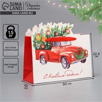 Пакет подарочный новогодний «Спешу к тебе», 30*25*10 см 121399