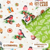 Бумага упаковочная глянцевая двусторонняя "Снегири ", 68*100 см 121474