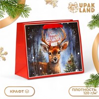 Пакет подарочный новогодний бумажный, "Чудеса случаются", 24*20*11см 121952