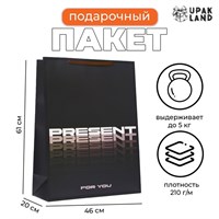 Пакет ламинированный "Present", XXL 46*61*20см 122604