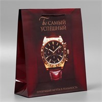 Пакет подарочный ламинированный, упаковка, «Успех», ML, 25*21*8см 122877