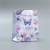 Пакет подарочный ламинированный, упаковка, «Сияй», 9*12*6.5см 122881