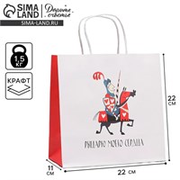 Пакет подарочный, упаковка, «Рыцарю», 22*22*11см 123186