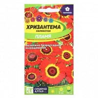 Семена Хризантема килеватая Пламя 0,1гр Семена Алтая 107877