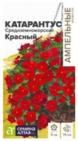 Семена Катарантус средиземноморский Красный 5шт Семена Алтая 123678
